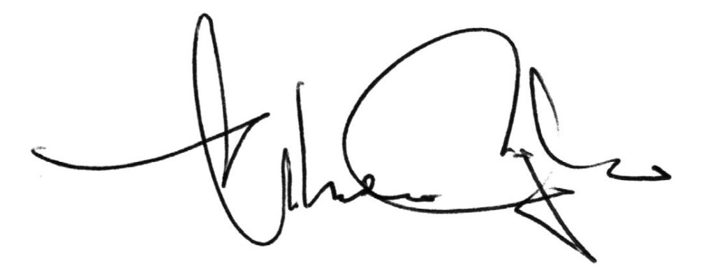 firma andrea rigato